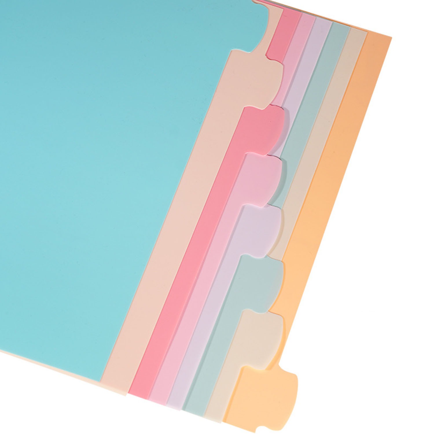 8 Tab Binder Dividers for 3 Ri - Paper Punch 3 Hole 评论和价格